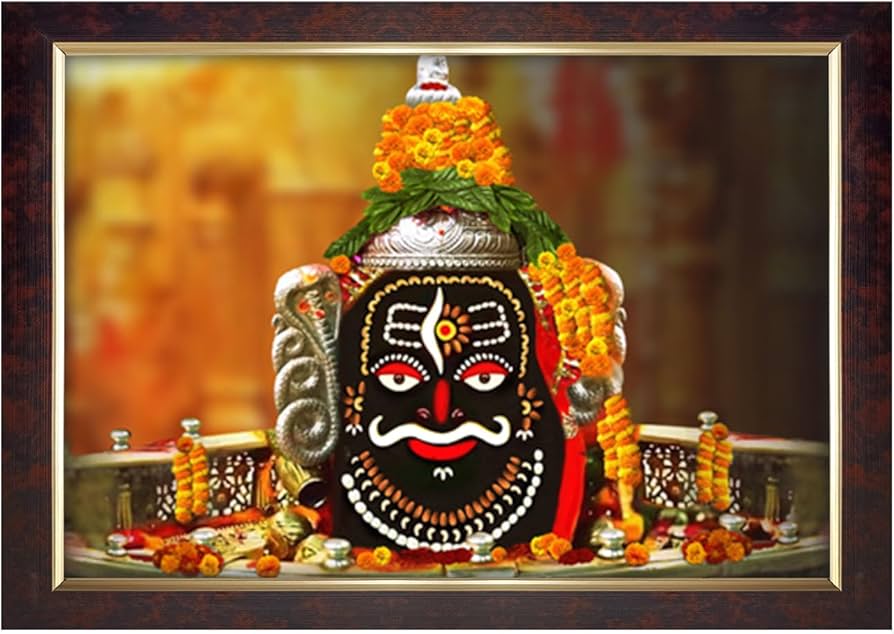 71kYwr2FSAL._AC_UF894,1000_QL80_