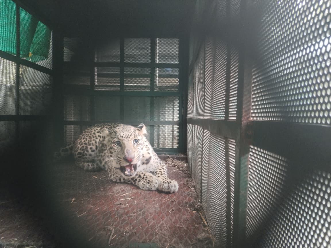 fb7f2020-de01-456a-87fd-c8fb5140aa9e